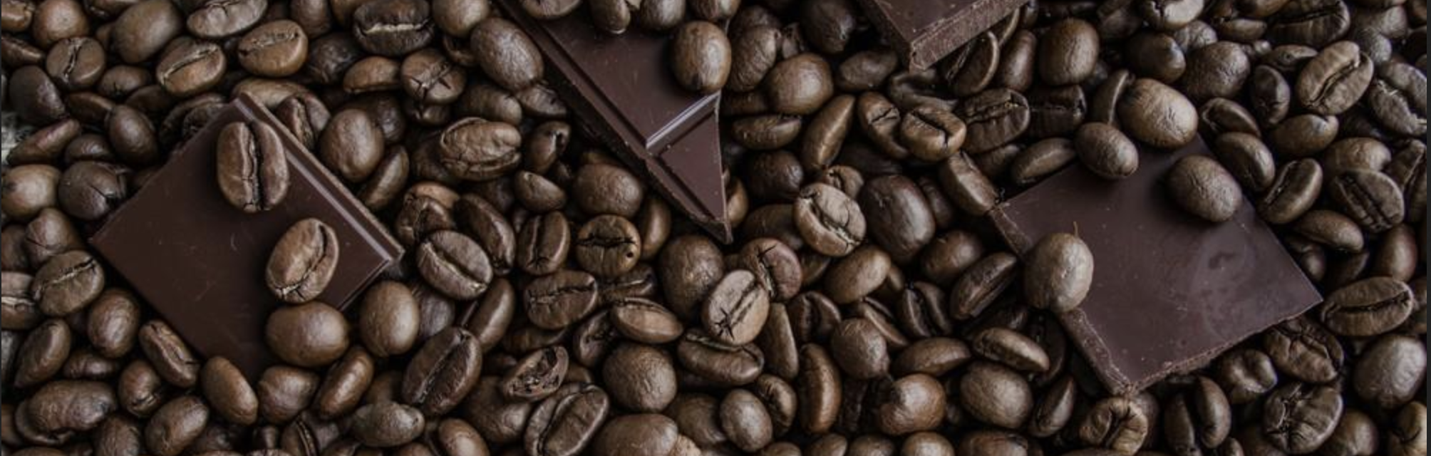 Squares of chocolate nestled amid coffee beans.