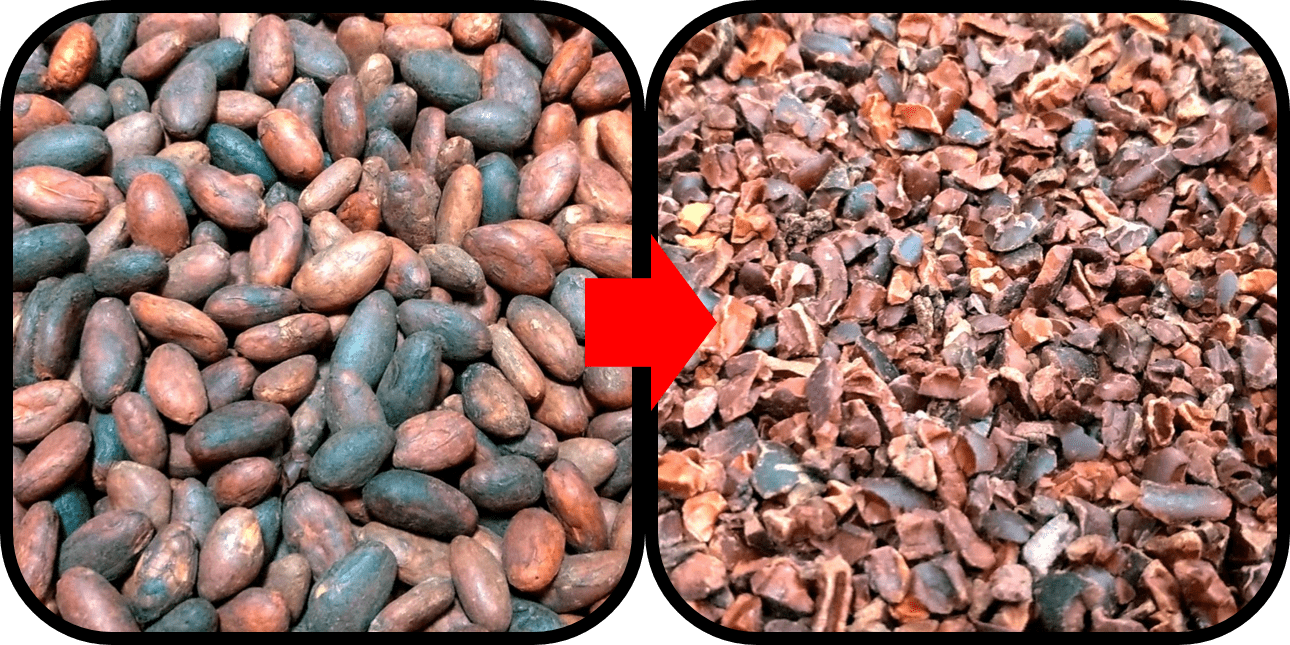 Cocoa bean cracking before and after pictures.