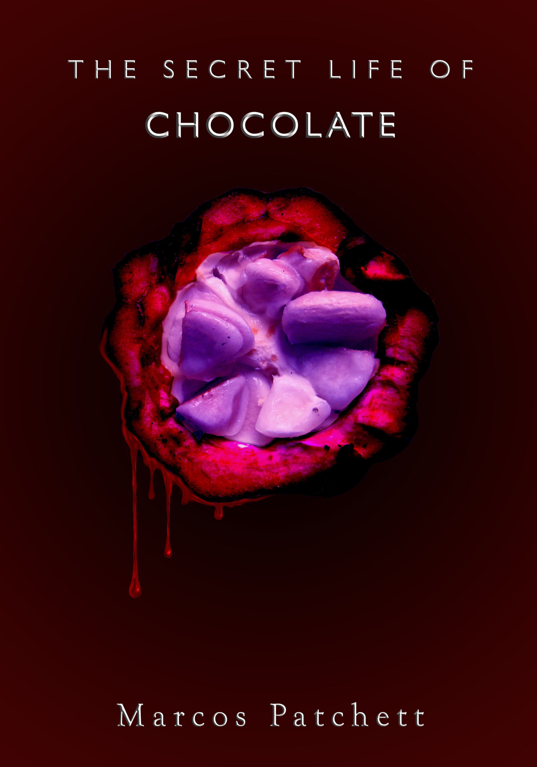 The Secret Life of Chocolate book cover.
