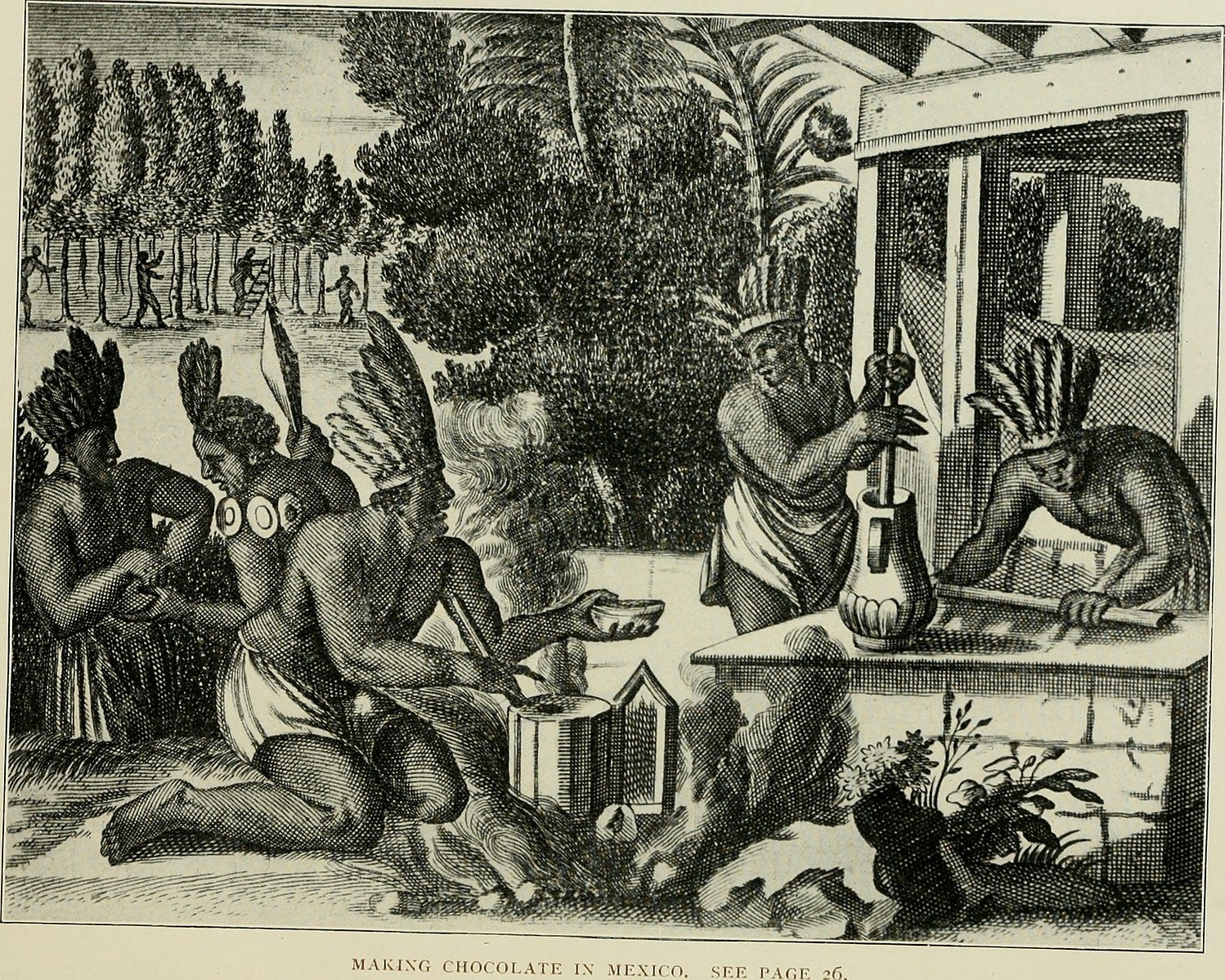 Native American Indians roasting and grinding the beans, and mixing the chocolate in a jug with a whisk.