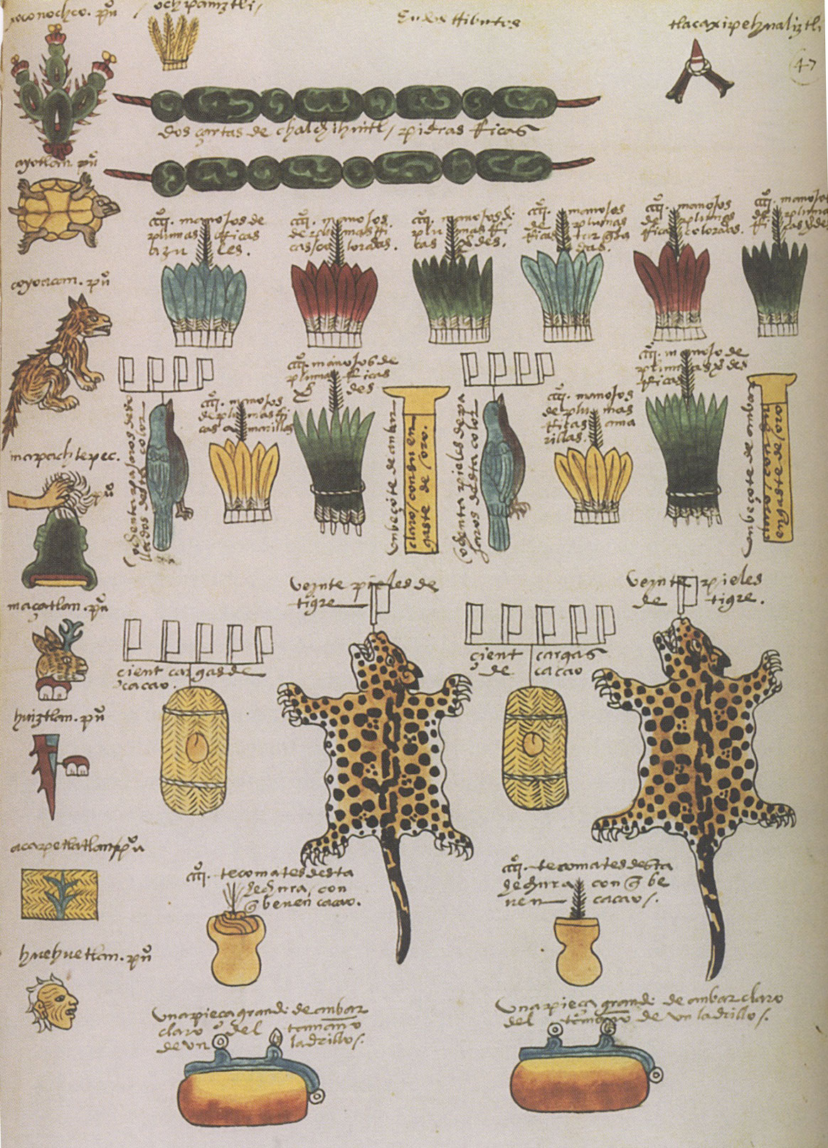 A European copy of an Aztec tribute list, whcih contains chocolate as a key tributary "gift."
