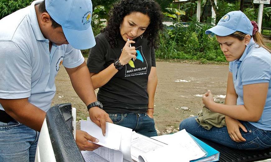 Onsite Fairtrade audit of a cocoa farm. This produces high quality, ethical craft chocolate.